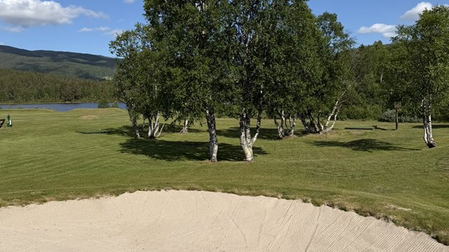 Bunkerdugnad