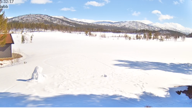 Har du glemt å betale ditt medlemsskap ?