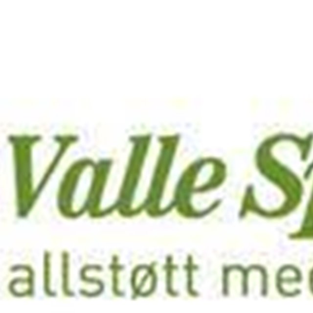 Raus gave fra Valle Sparebank